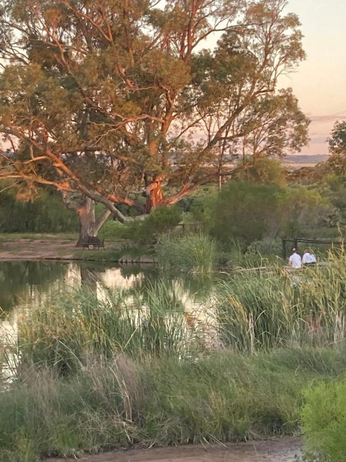 Still Earth Port Pirie Zewnętrze zdjęcie